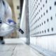 Pest Control in Abu Dhabi 8 Pest Control